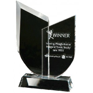 Twin Reflections Crystal Trophy